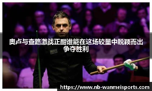 奥卢与查路激战正酣谁能在这场较量中脱颖而出争夺胜利